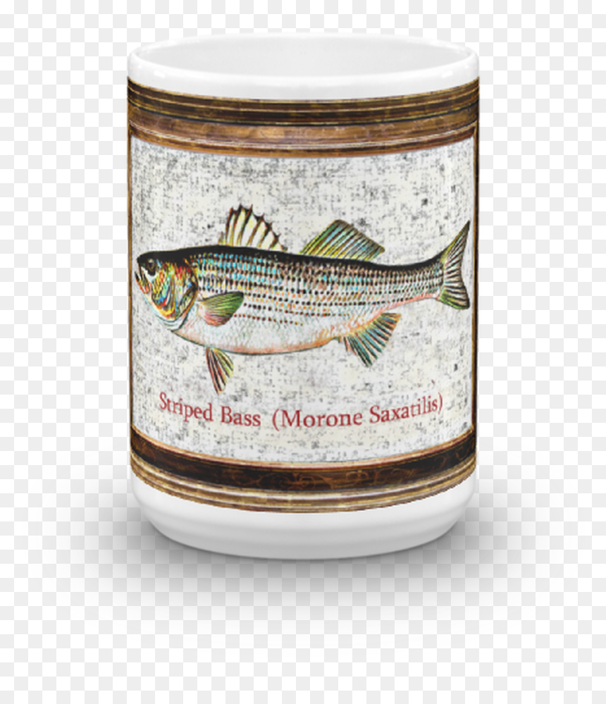 Trout, HD Png Download - striper png