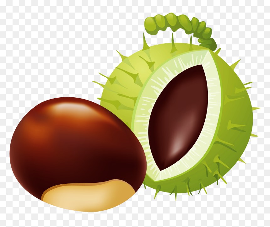 Chestnut Clipart, HD Png Download - cartoon chain png