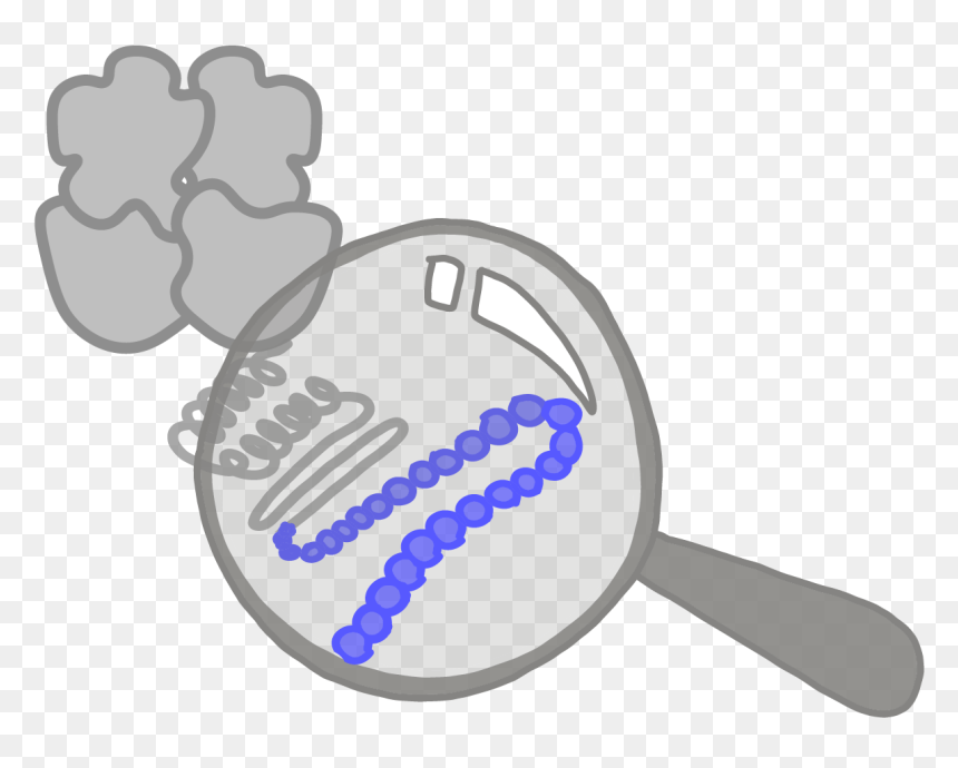 Amino Acid Png, Transparent Png - cartoon chain png