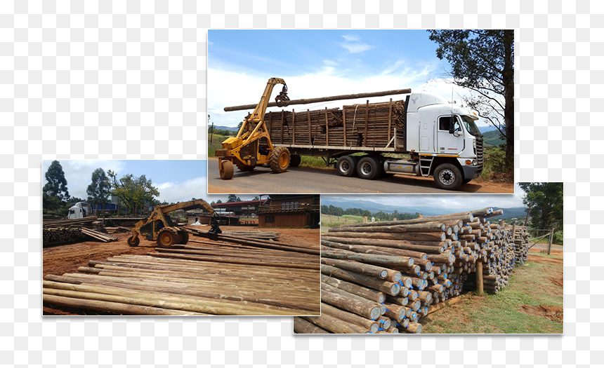 Lumber, HD Png Download - wooden pole png