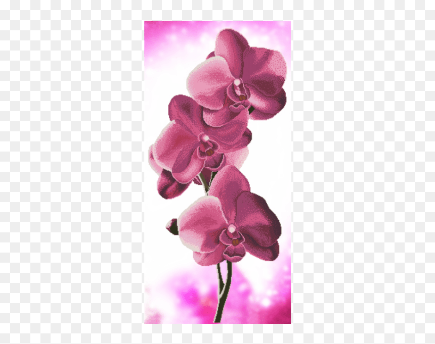Вышивка Бисером Орхидея, HD Png Download - orquideas png