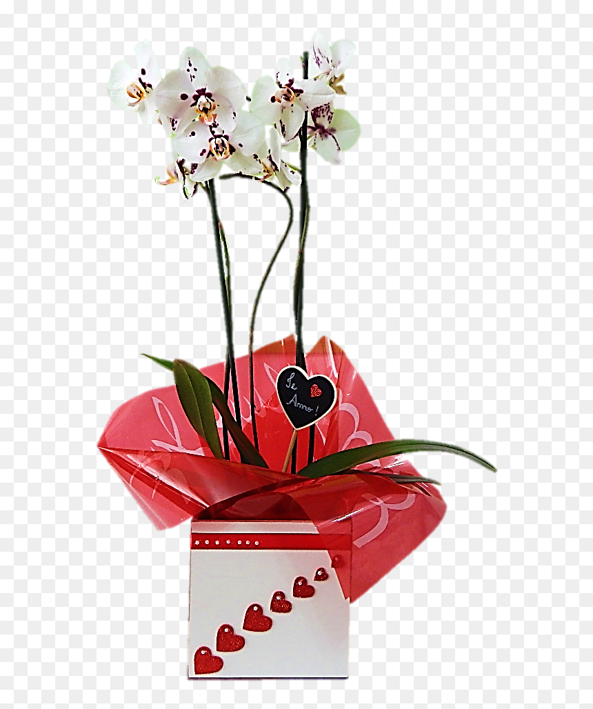 Bouquet, HD Png Download - orquideas png