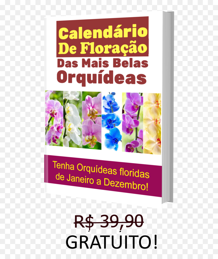 Poster, HD Png Download - orquideas png