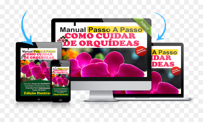 Orquideas, HD Png Download - orquideas png
