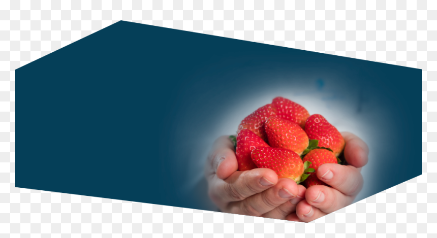 Strawberry, HD Png Download - fresas png