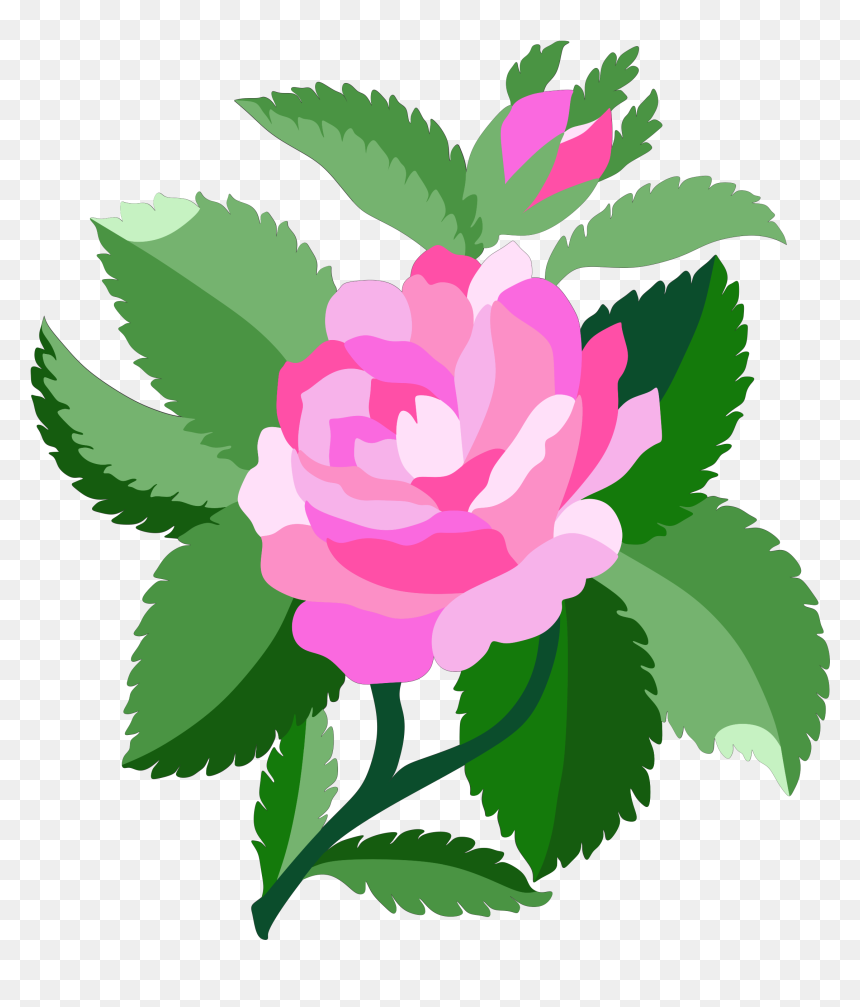 Damask Rose Clipart, HD Png Download - dead flower png