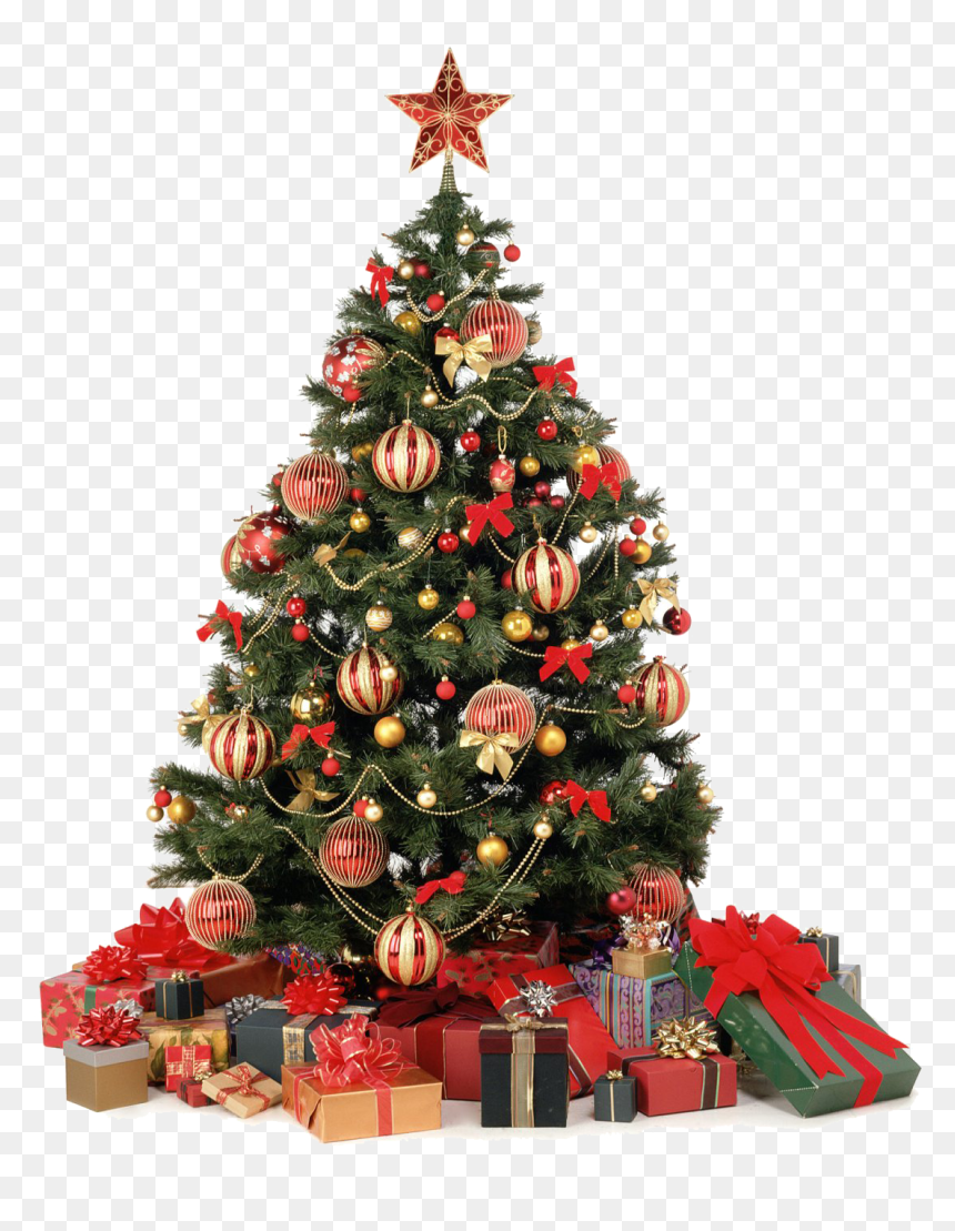 Big Christmas Tree Png, Transparent Png - christmas divider png