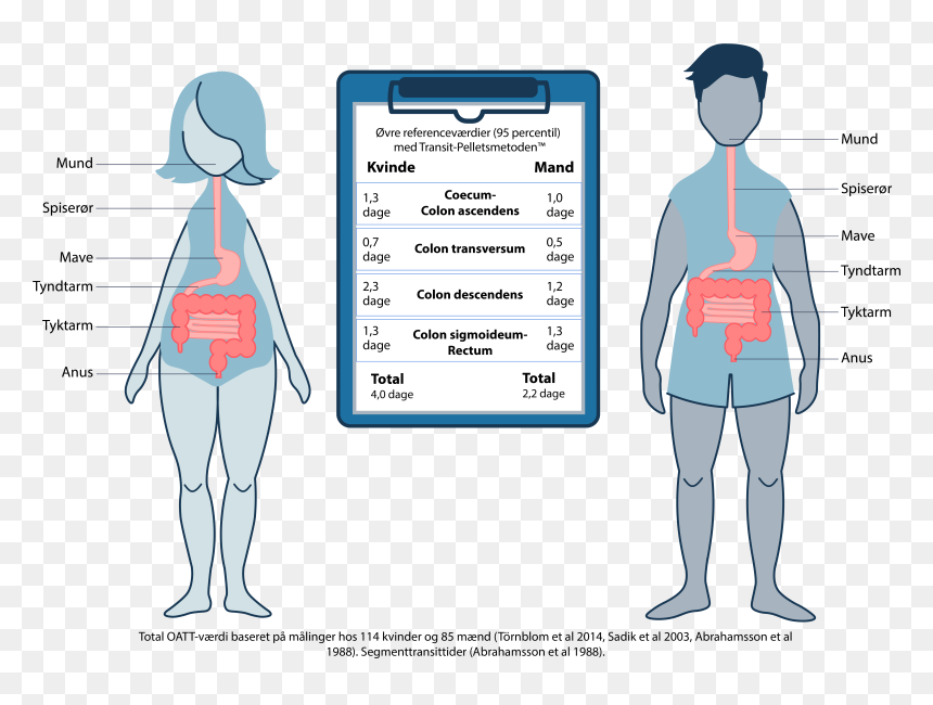 Diagram, HD Png Download - compartir png