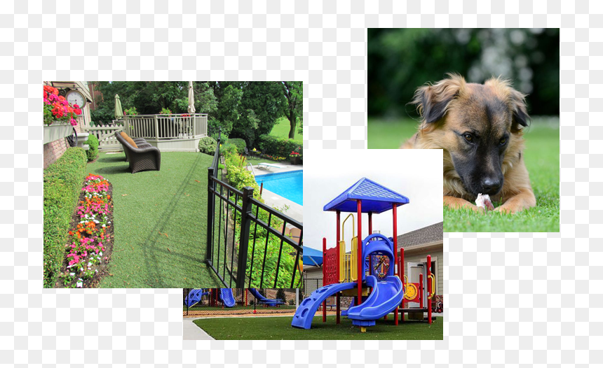 Playground, HD Png Download - grass blade png