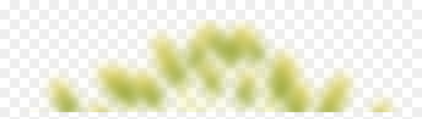 Macro Photography, HD Png Download - gorro navideño png
