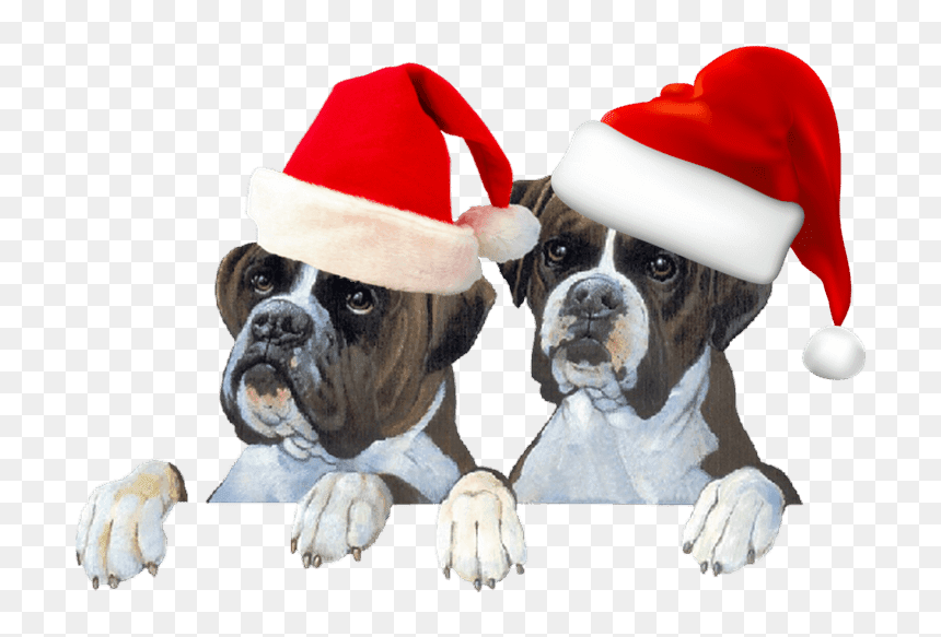 Nos Amis Les Chiens, HD Png Download - gorro navideño png