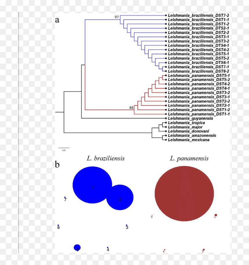 Diagram, HD Png Download - red marker circle png