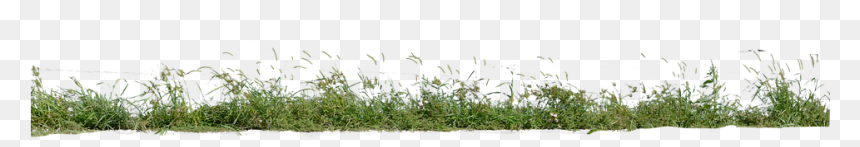 Grass, HD Png Download - nature background png