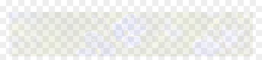 Sacred Lotus, HD Png Download - nature background png
