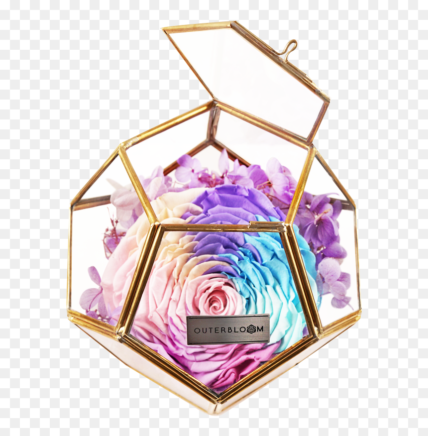 Floral Design, HD Png Download - pastel rainbow png