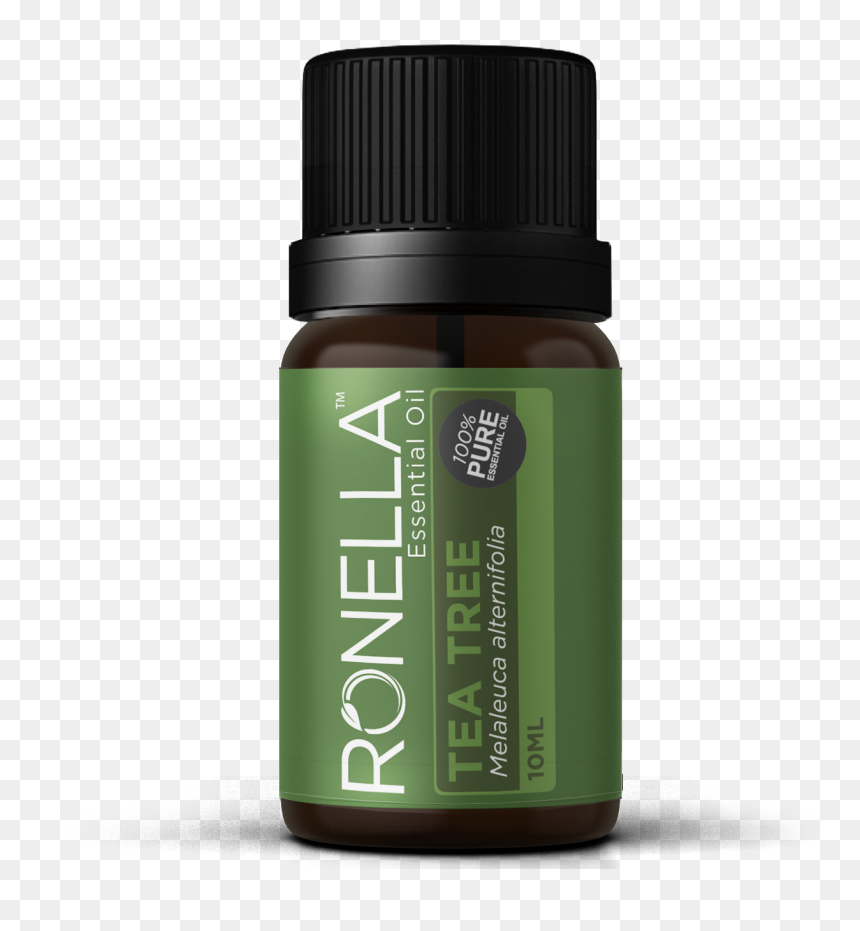 Kaffir Lime, HD Png Download - tea tree png