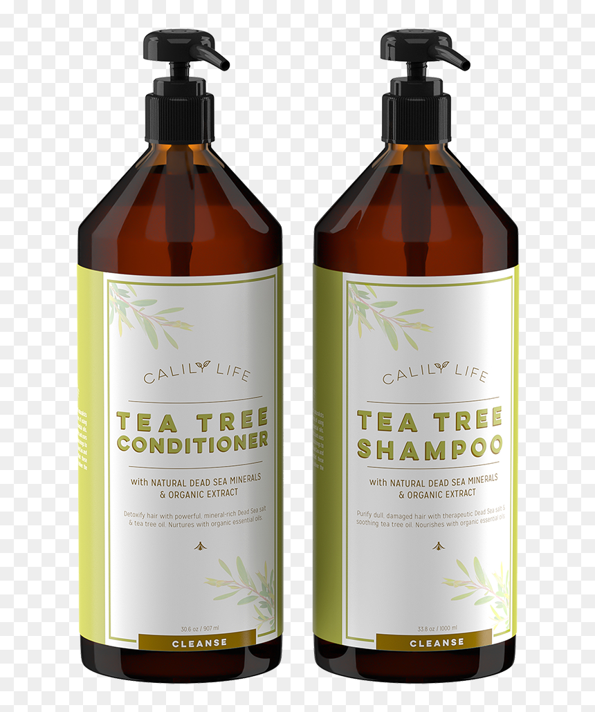 Best Argan Oil Shampoo, HD Png Download - tea tree png