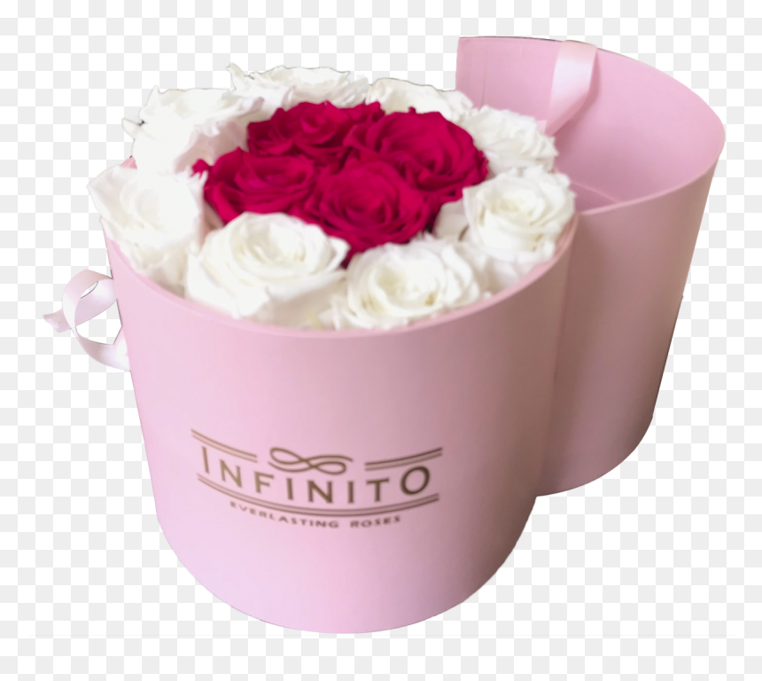 Floribunda, HD Png Download - infinito png