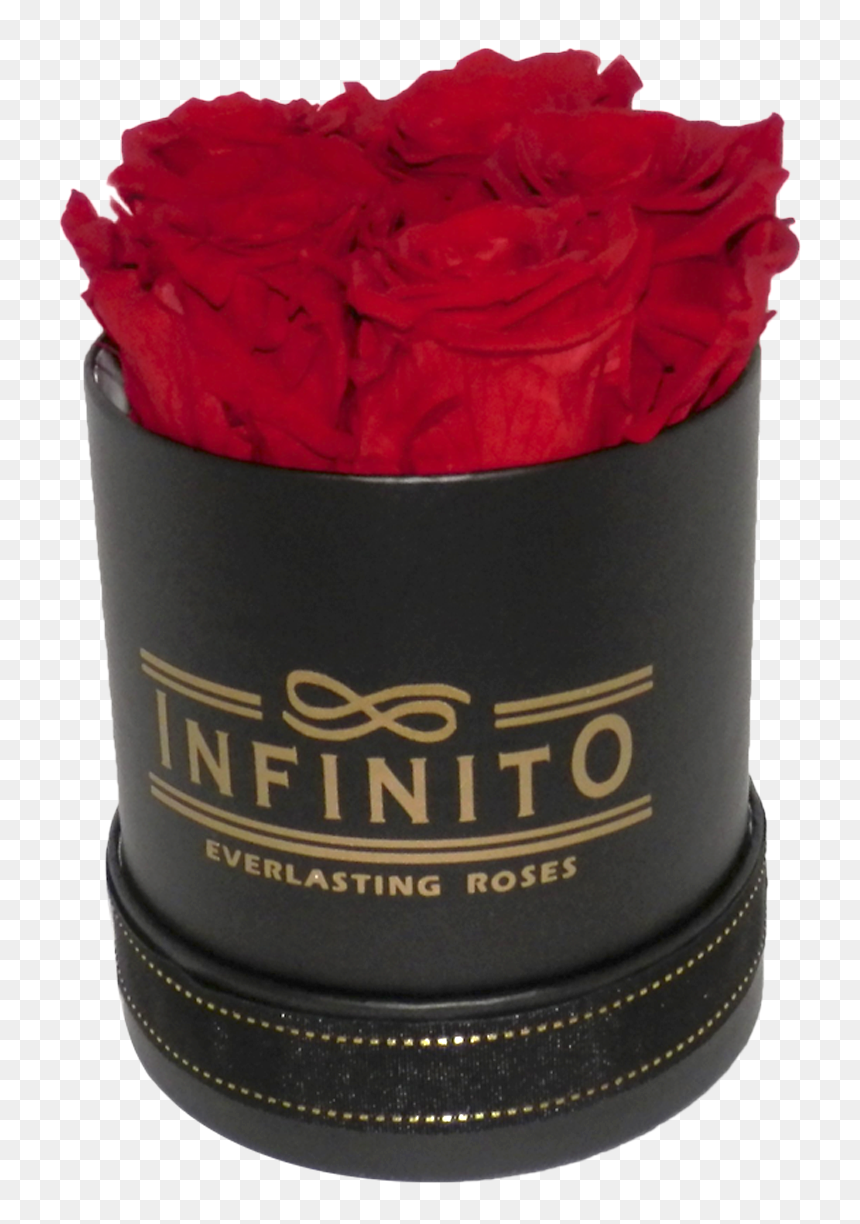 Garden Roses, HD Png Download - infinito png