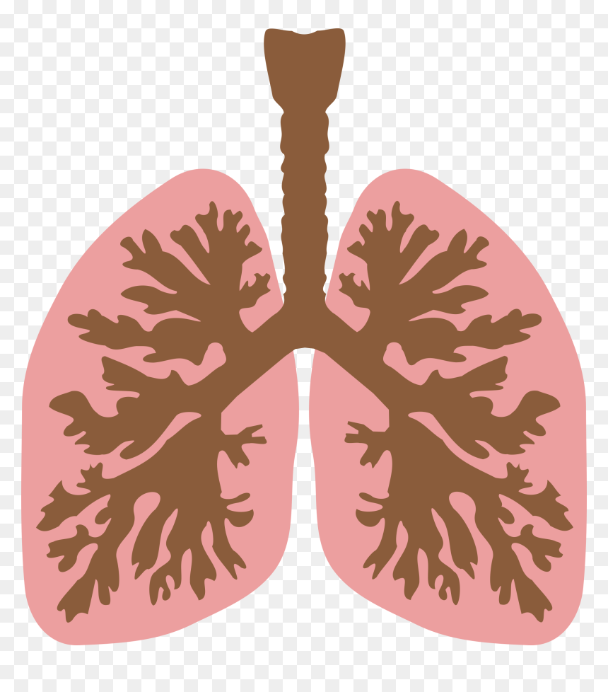 Lungs Clip Art, HD Png Download - coughing png