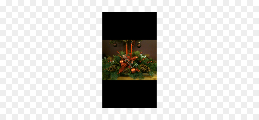 Christmas Flowers Png, Transparent Png - christmas flowers png