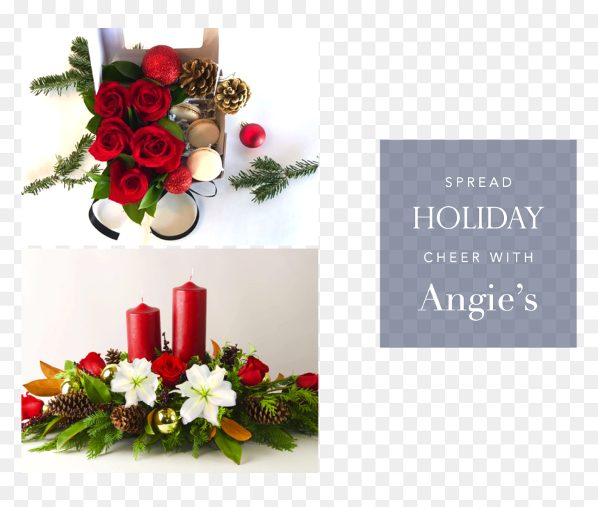 Garden Roses, HD Png Download - christmas flowers png