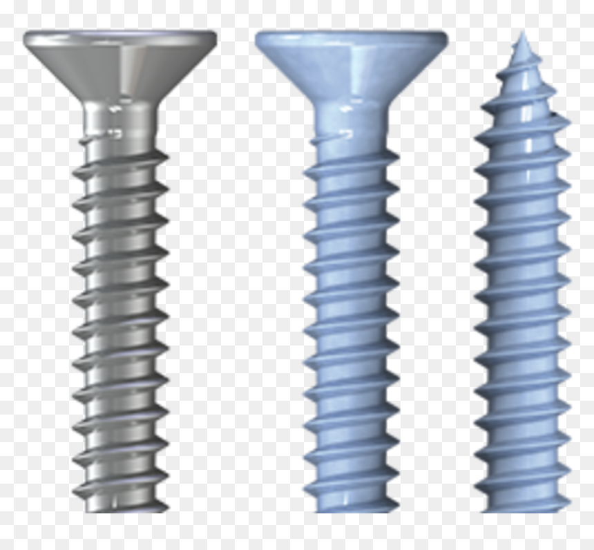 Tool, HD Png Download - screws png