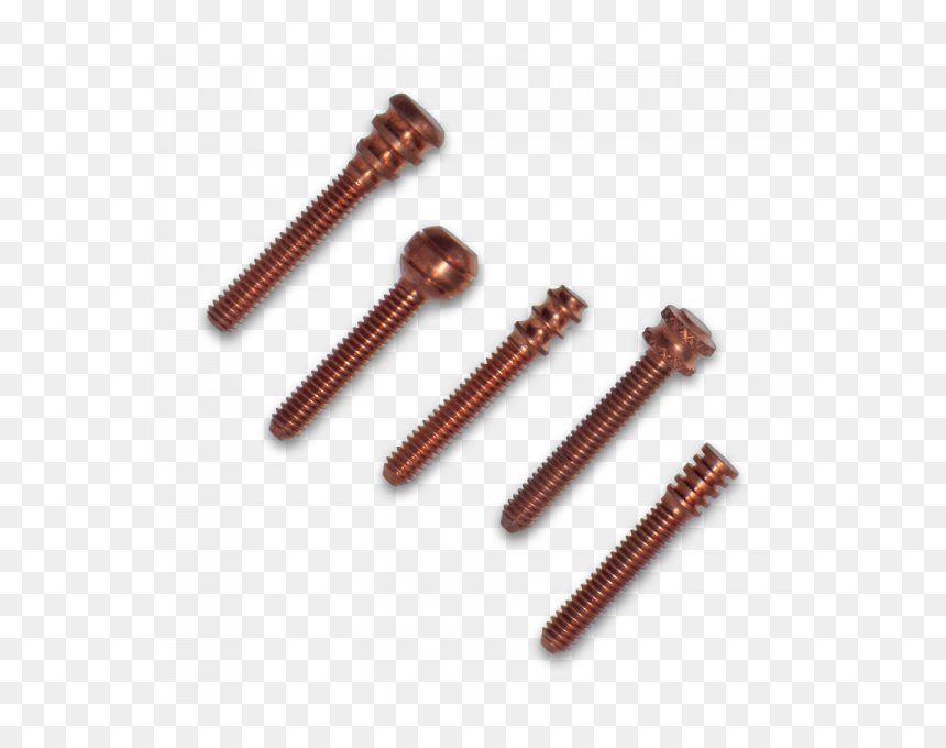 Wood, HD Png Download - screws png