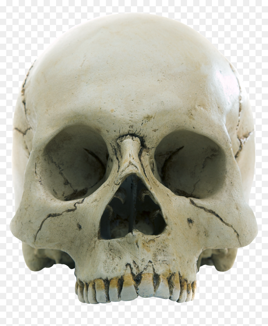 Skull Png, Transparent Png - skull pile png