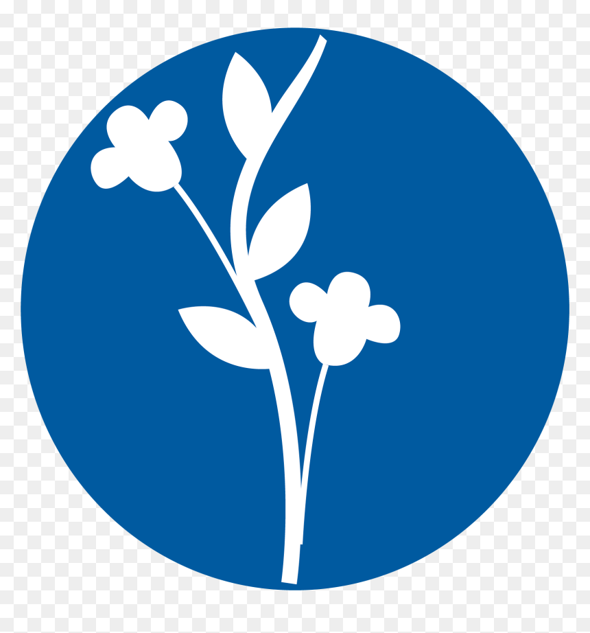 Circle, HD Png Download - flores png