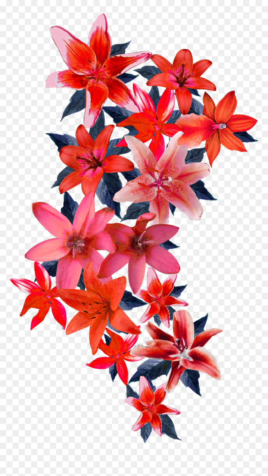Flowers Designs In Png, Transparent Png - design png