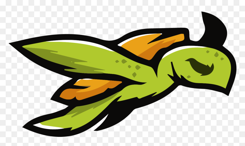 Turtle Esports Logo, HD Png Download - turtle png