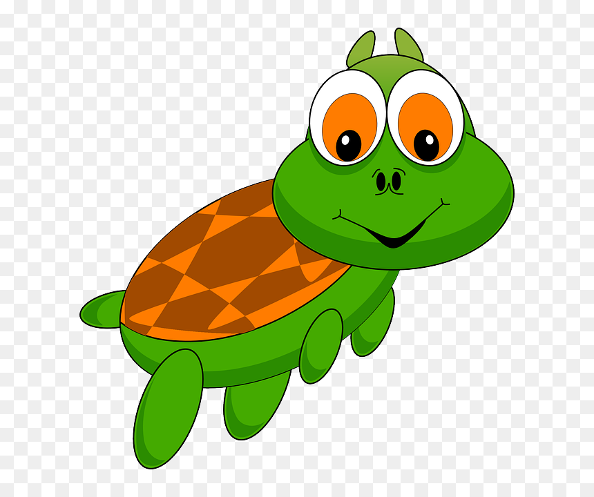 Turtles Animation, HD Png Download - turtle png