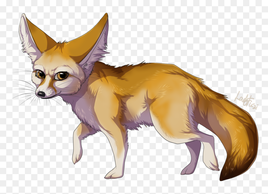 Fennec Fox Clipart, HD Png Download - fox png