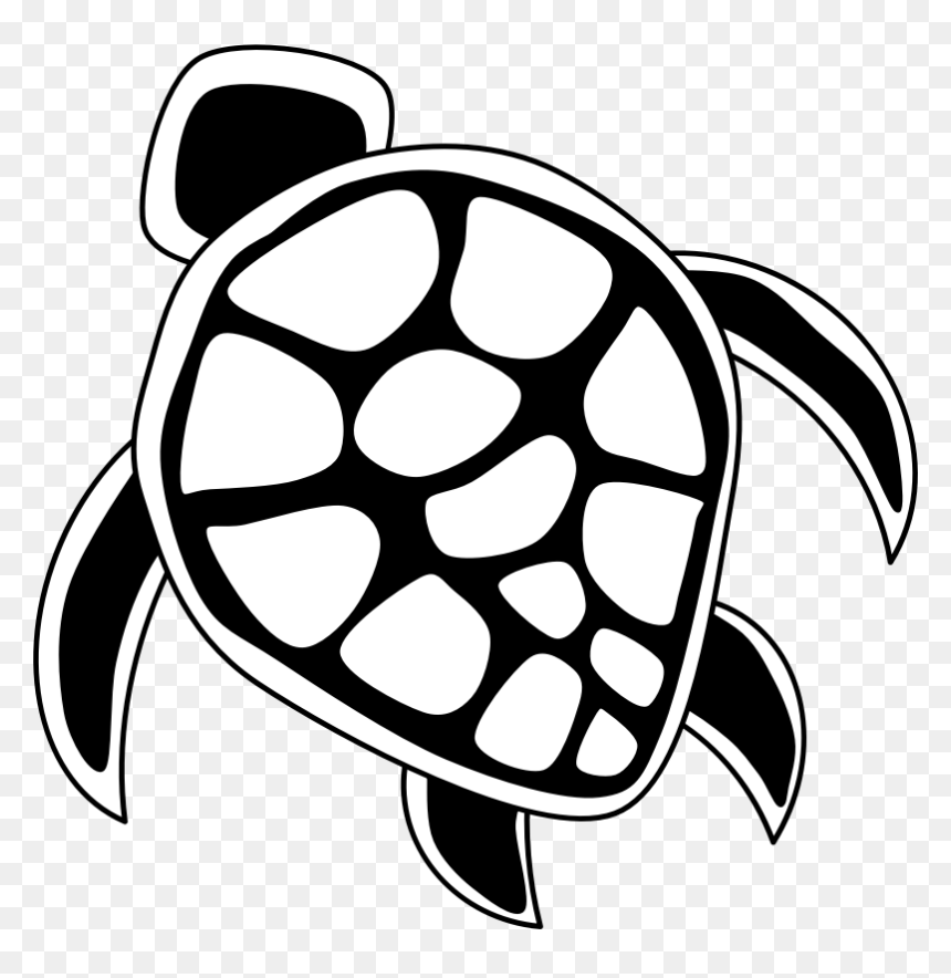 Sea Turtle Clipart Transparent, HD Png Download - turtle png