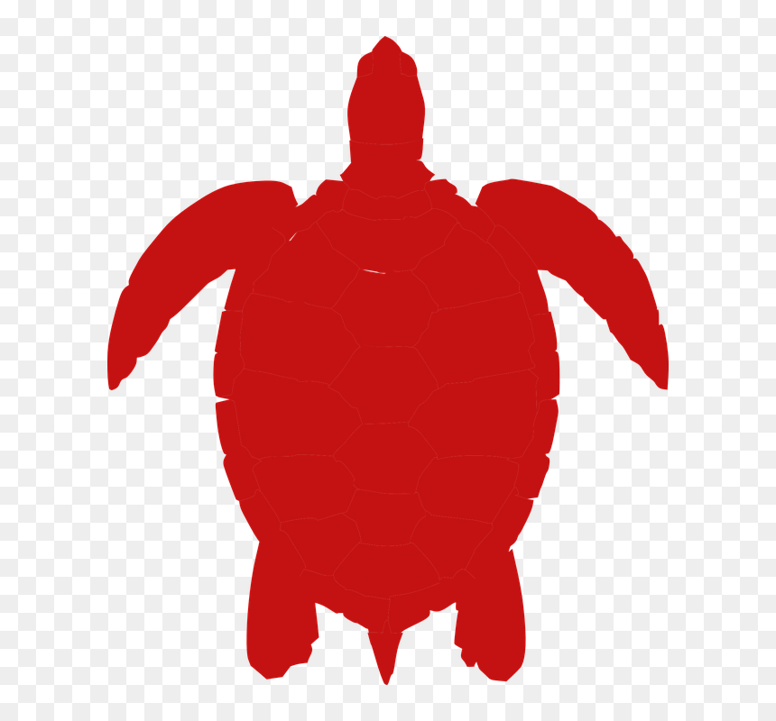 Silhouette Sea Turtle Png, Transparent Png - turtle png