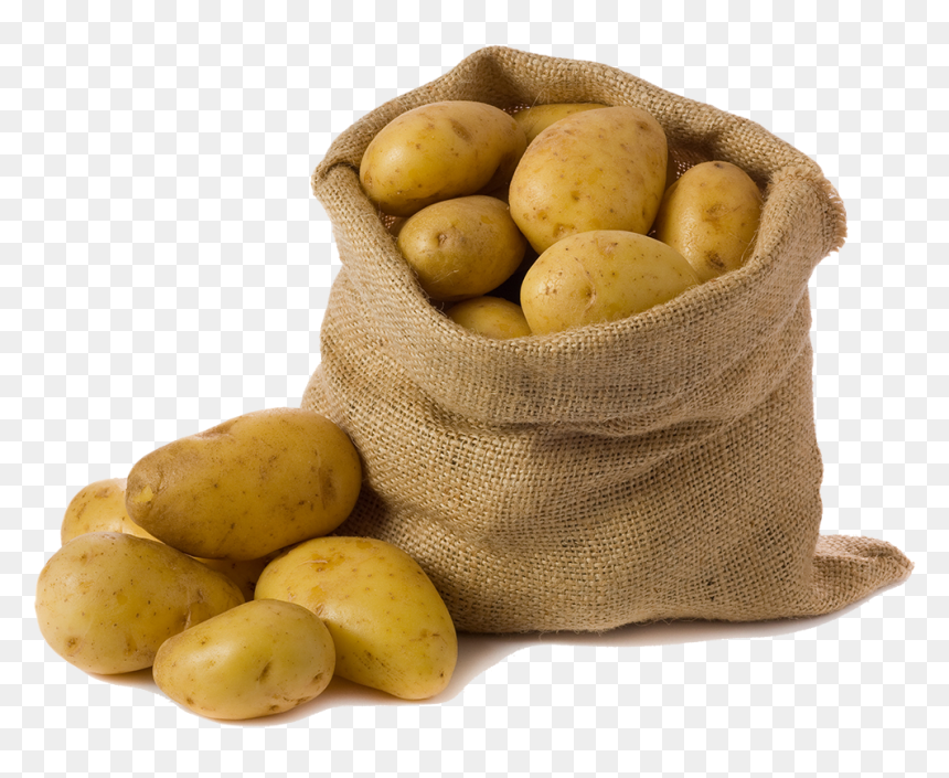 Potato Fresh, HD Png Download - potato png