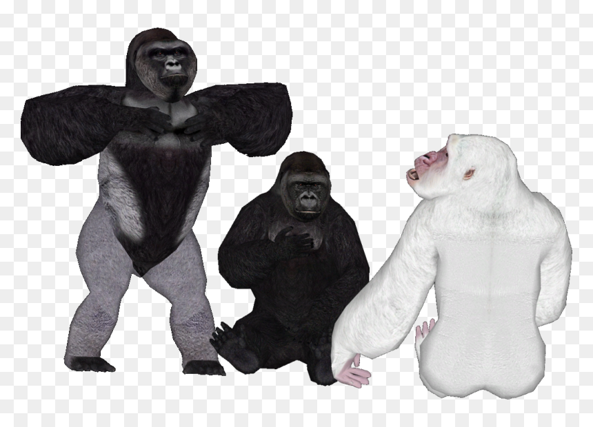 Yukon Gorilla Zt2, HD Png Download - harambe png