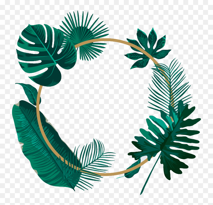 Water Color Wreath Png, Transparent Png - wreath png