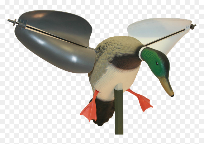 Утка Для Охоты, HD Png Download - duck png