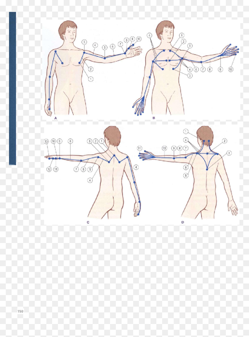 Sketch, HD Png Download - movement lines png