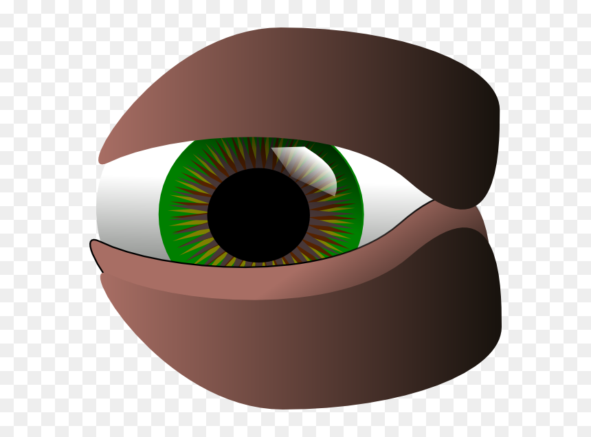 Circle, HD Png Download - eyeball clipart png