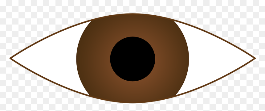 Brown Eyes Clip Art, HD Png Download - eyeball clipart png