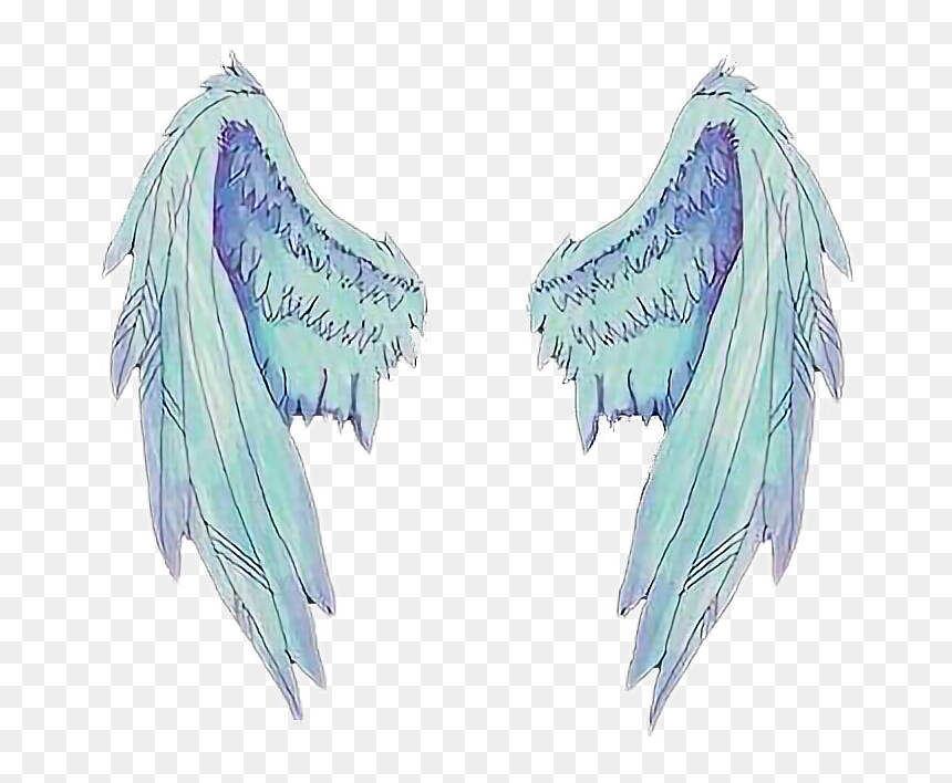 Asas Para Perfil Amino, HD Png Download - asas png