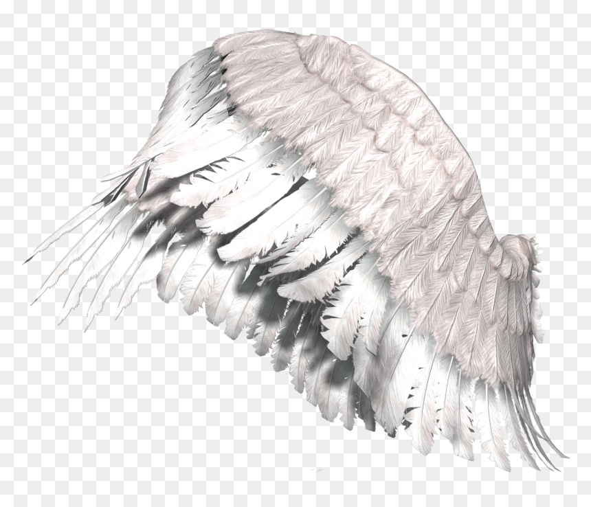Angel Wings Transparent Png Alas Png, Png Download - asas png