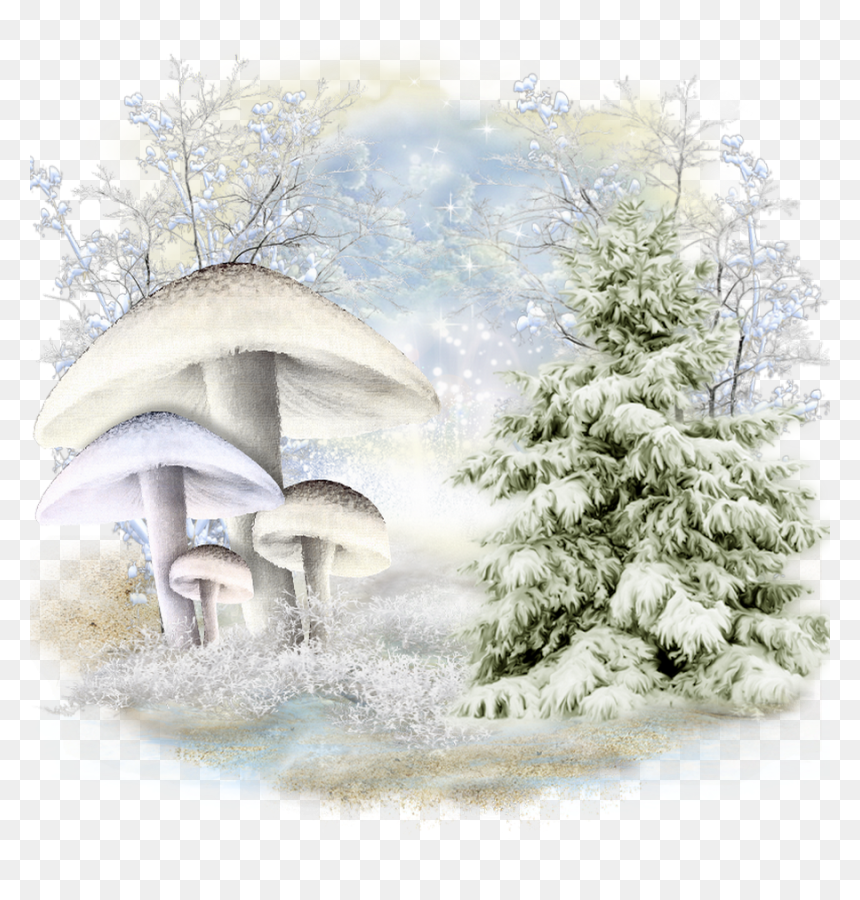 Gifs Good Evening Winter, HD Png Download - winter background png
