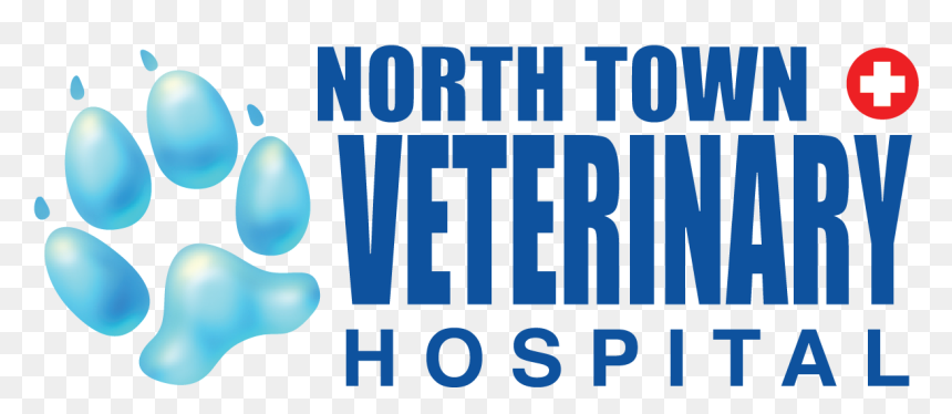 Clappison Animal Hospital, HD Png Download - opportunity png