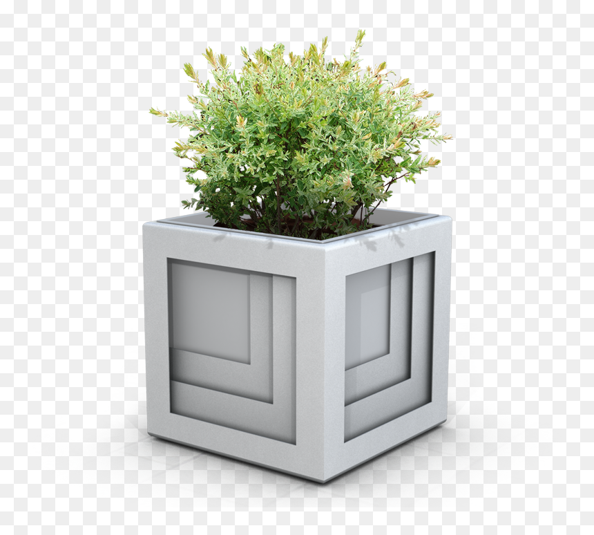Bush Shrub Png Transparent Background, Png Download - flower box png