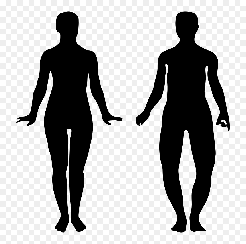 Man Walking With Women, HD Png Download - male female png