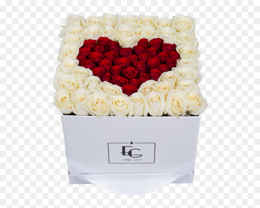 Garden Roses, HD Png Download - flower box png